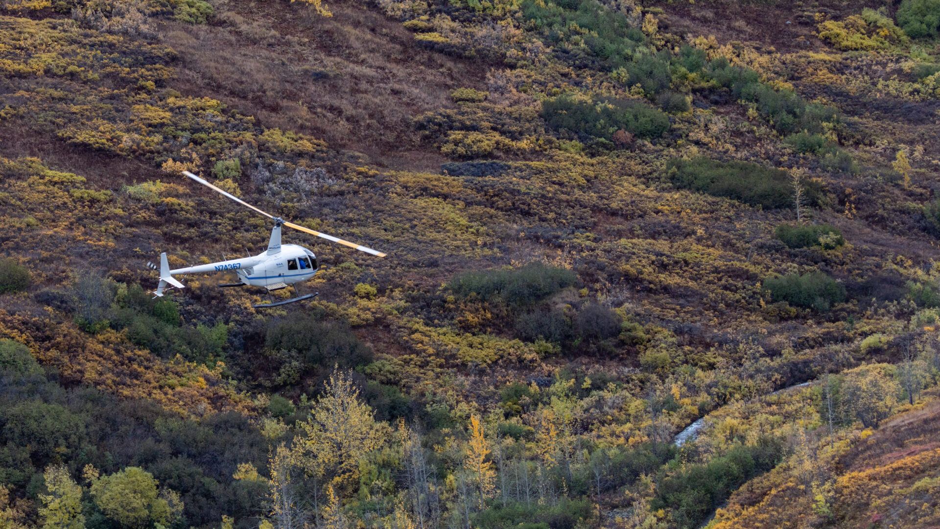Heli Alaska Helicopter in flight Heli Alaska Helicopter view
