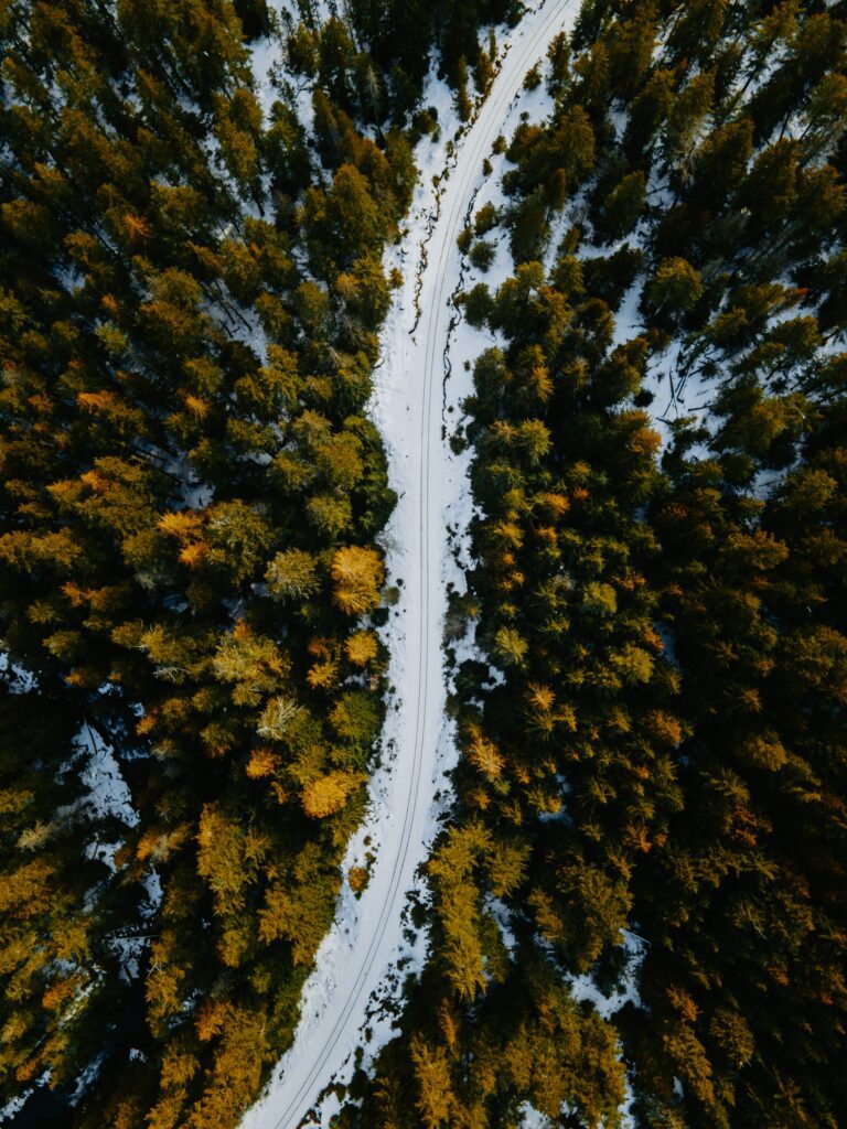 Heli Alaska - Snow Road