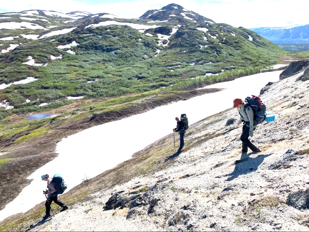 Heli Hiking