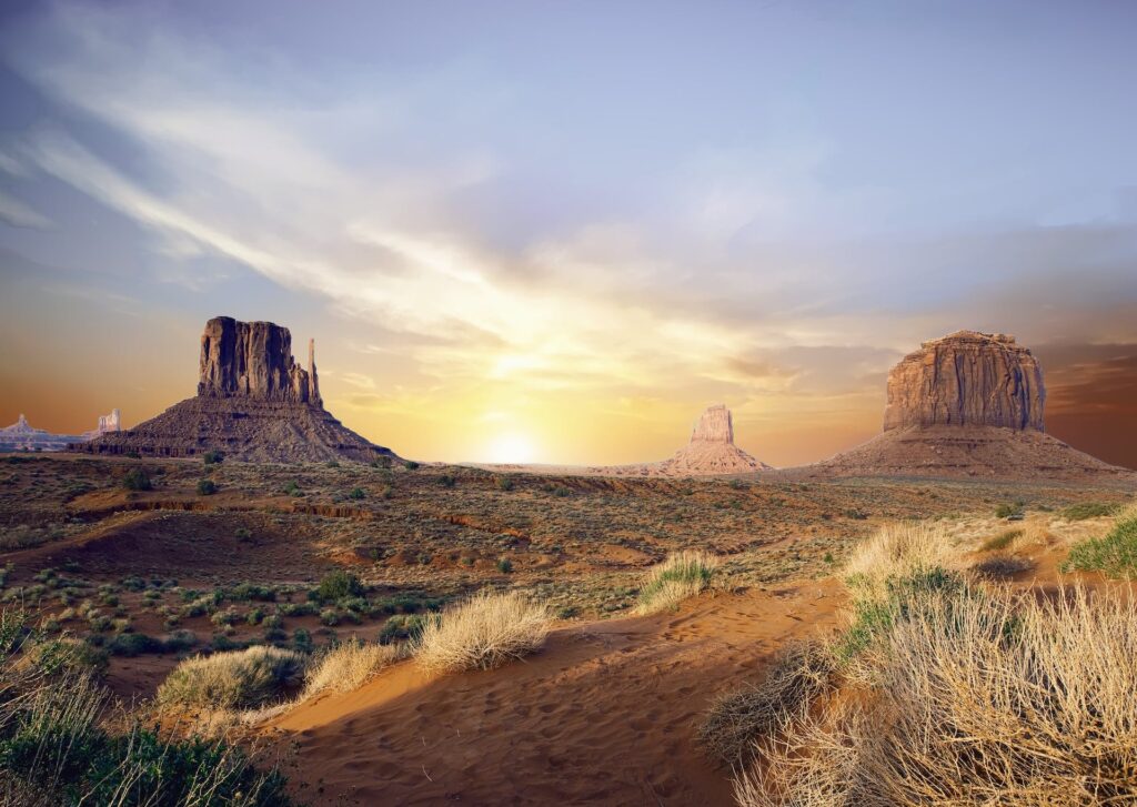 Arizona desert