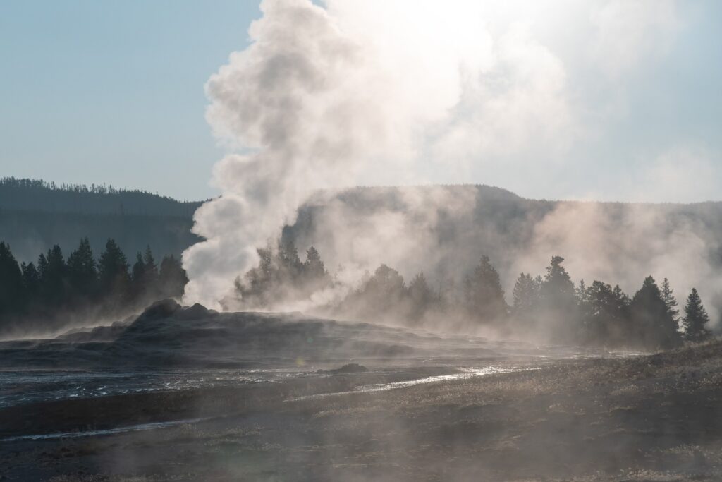 Geyser in Yellowstone National Park